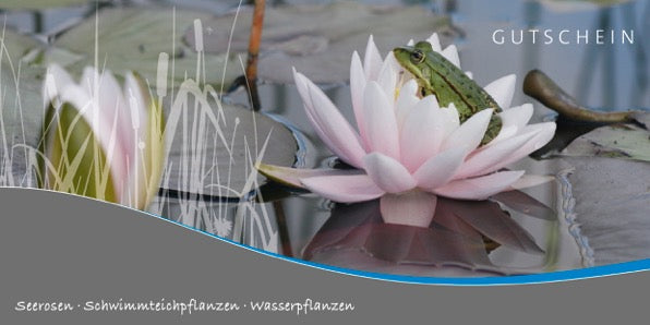 gutschein_vorderseite56aac8e01a5c1